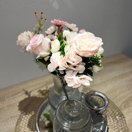 Apartman Nino Novigrad  Kültér fotó