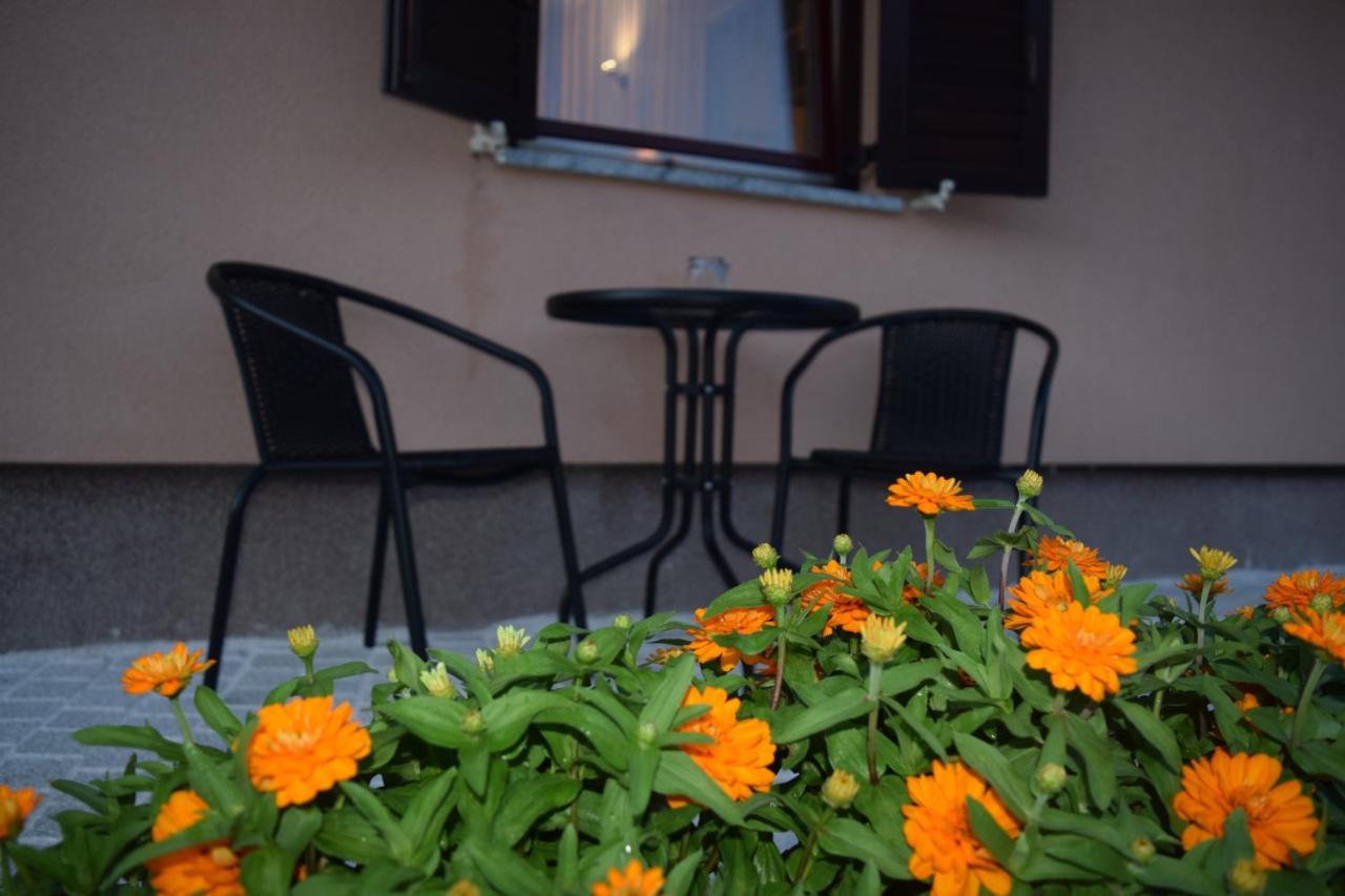 Apartman Nino Novigrad  Kültér fotó